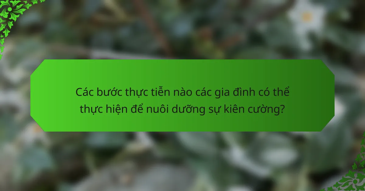 Các bước thực tiễn nào các gia đình có thể thực hiện để nuôi dưỡng sự kiên cường?