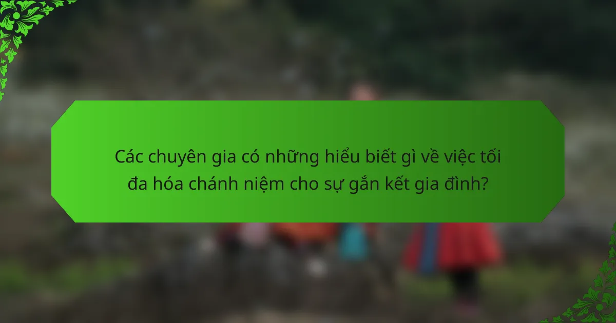 Các chuyên gia có những hiểu biết gì về việc tối đa hóa chánh niệm cho sự gắn kết gia đình?