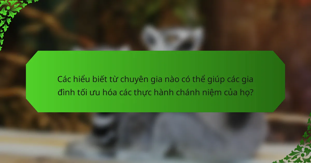 Các hiểu biết từ chuyên gia nào có thể giúp các gia đình tối ưu hóa các thực hành chánh niệm của họ?