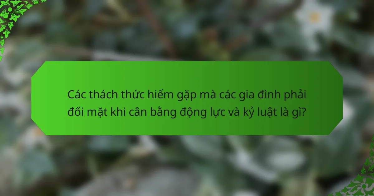 Các thách thức hiếm gặp mà các gia đình phải đối mặt khi cân bằng động lực và kỷ luật là gì?