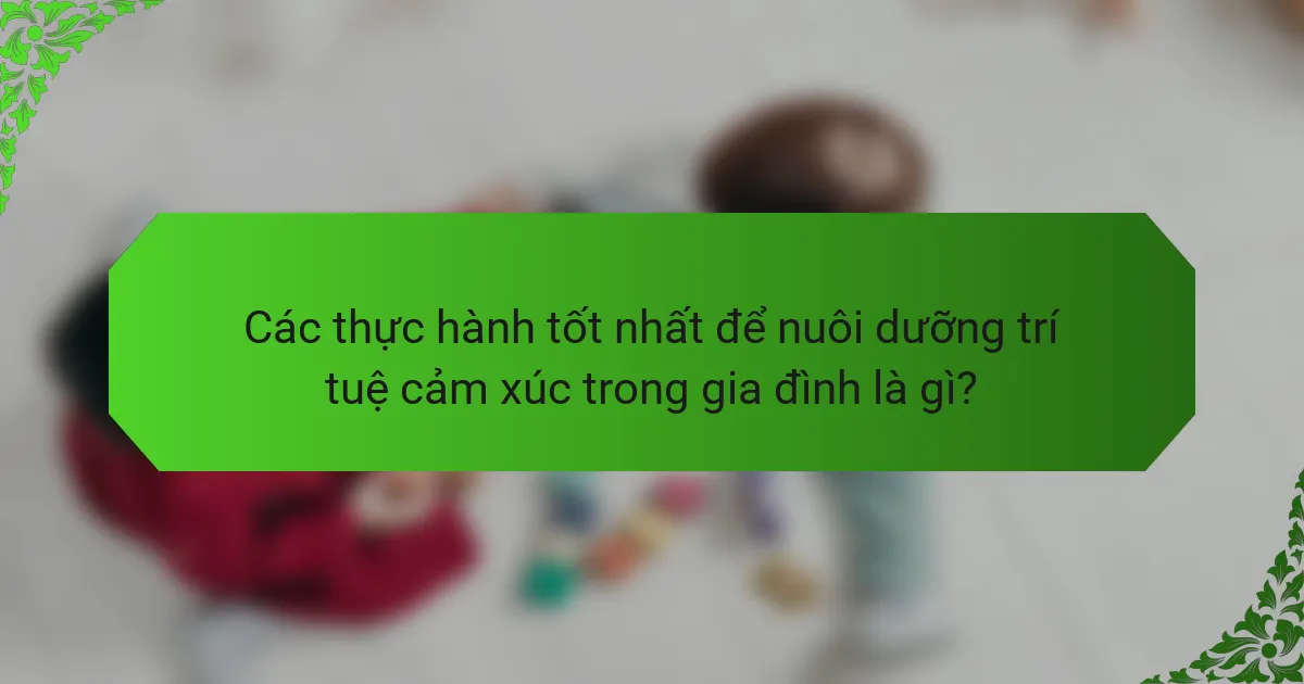 Các thực hành tốt nhất để nuôi dưỡng trí tuệ cảm xúc trong gia đình là gì?